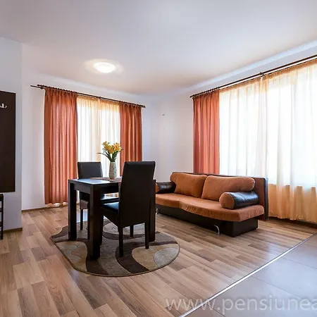 Pensiunea Zbor 3*