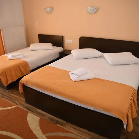 Guest house Pensiunea Zbor