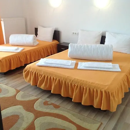 Guest house Pensiunea Zbor