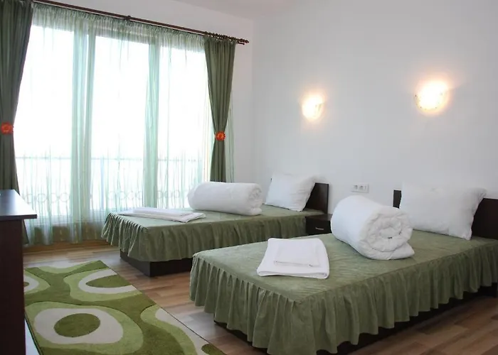 Pensiunea Zbor 게스트하우스 3*