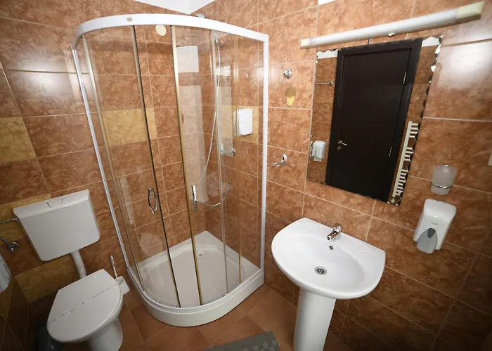 게스트하우스 Pensiunea Zbor