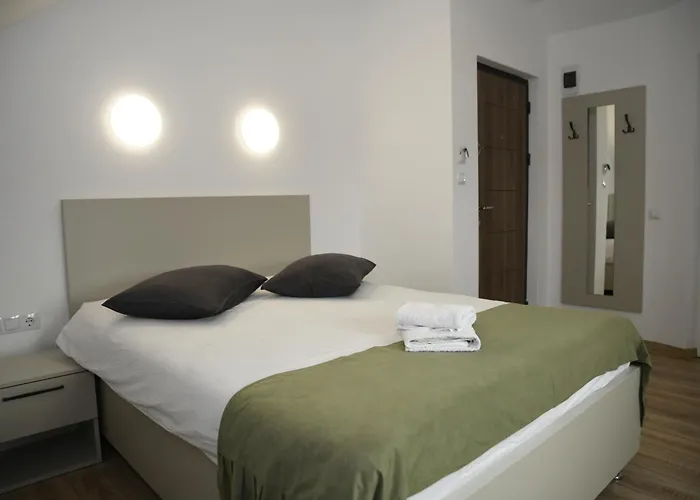 Pensión Pensiunea Zbor 3*