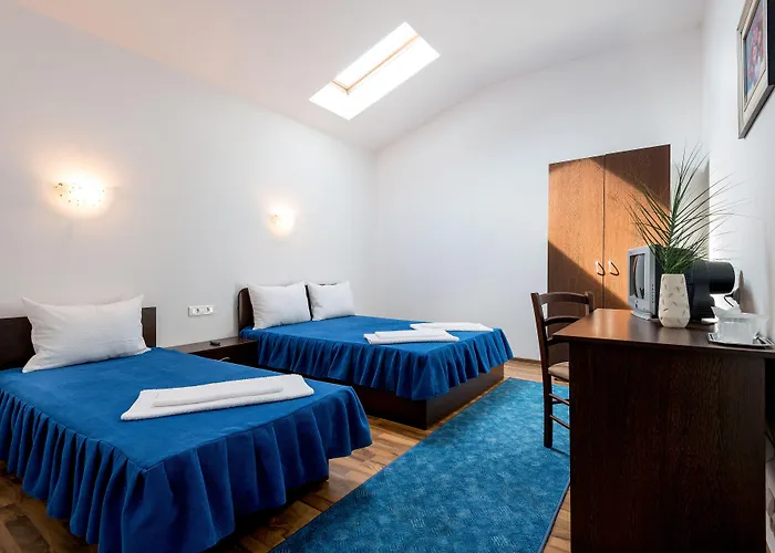 Pensiunea Zbor 게스트하우스 3*