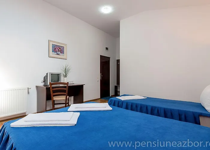Pensión Pensiunea Zbor Cluj-Napoca