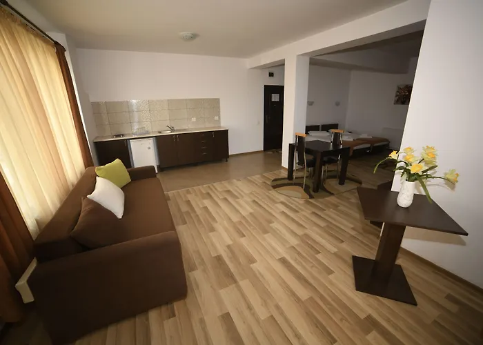 Πανσιόν Pensiunea Zbor