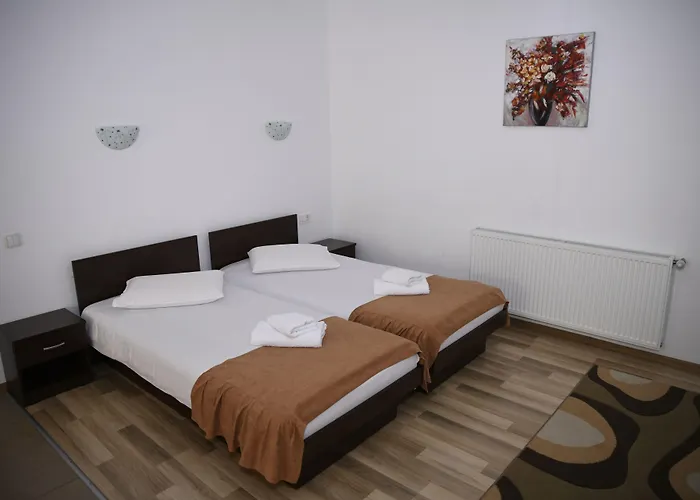 Pensiunea Zbor Pensión Cluj-Napoca