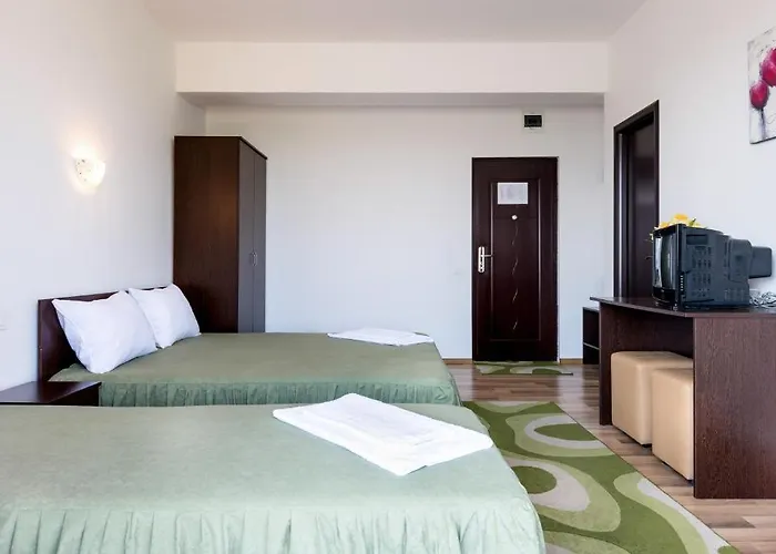 게스트하우스 Pensiunea Zbor